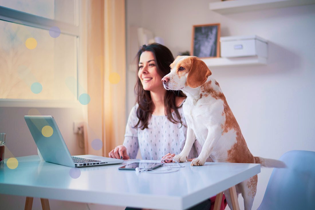 Featured image for 7 Ways Grooming Software Makes It Easier To Work From Home post