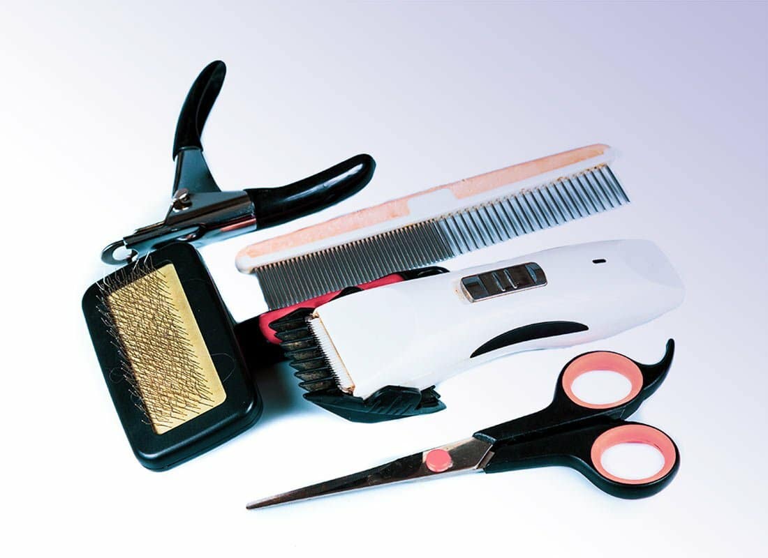 Grooming accessories online