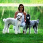 Photo of Deana Deitchler