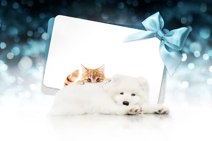 123PET gift card