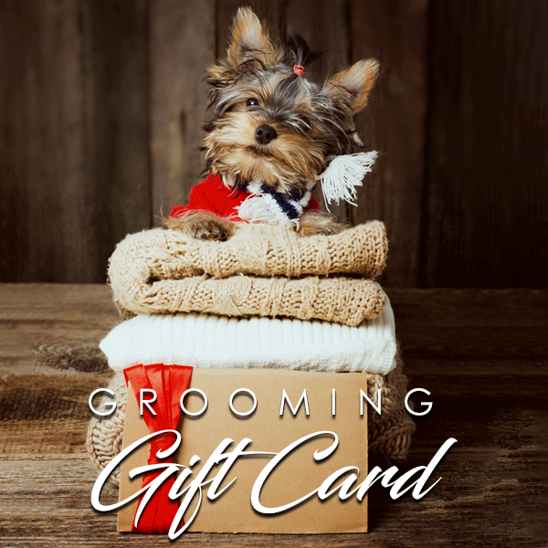 Featured image for How Dog Groomers Can Use a Small Business Gift Card to Boost Revenue post