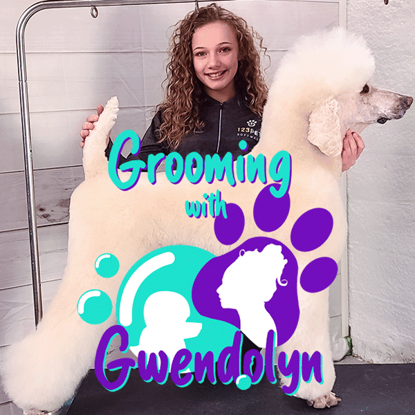 Featured image for The Future of Dog Grooming is Pre-Teen Gwendolyn Z post