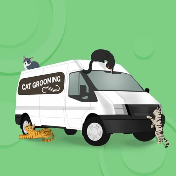 Cat shop groomer mobile