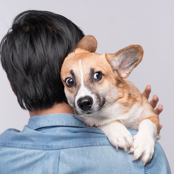 nervous dog