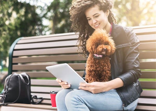 cost of dog grooming