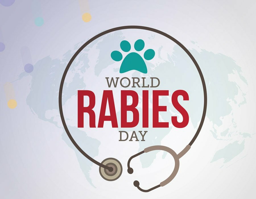 Featured image for World Rabies Day is September 28 – Make Sure Pets Are Protected post