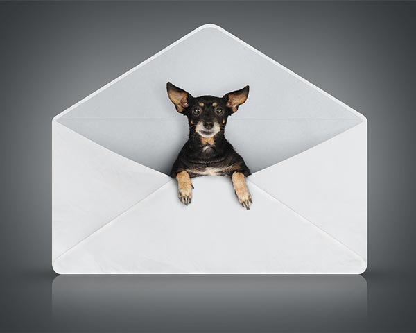 small business gift card emails
