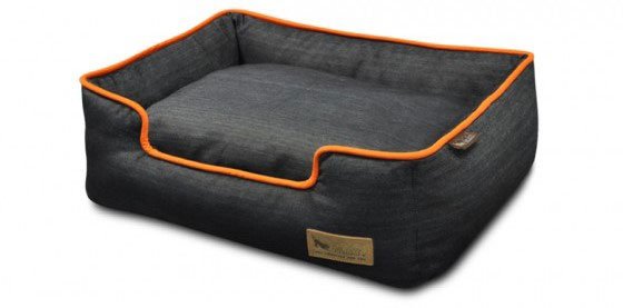 modern dog beds