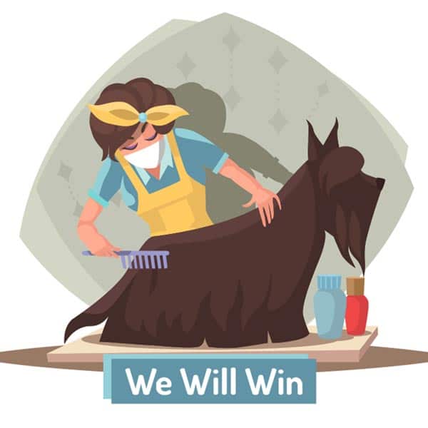 dog grooming