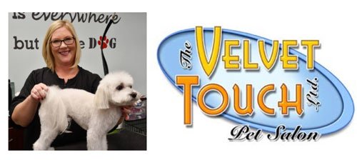 Dog Groomer