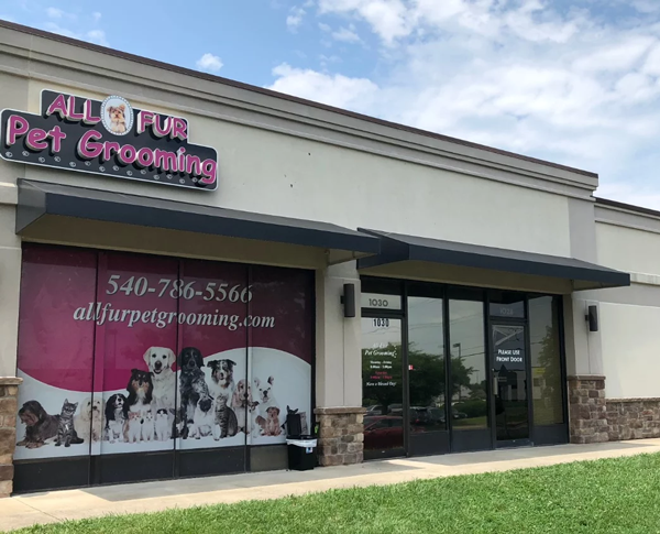 Featured image for Customer Spotlight: All Fur Pet Grooming post