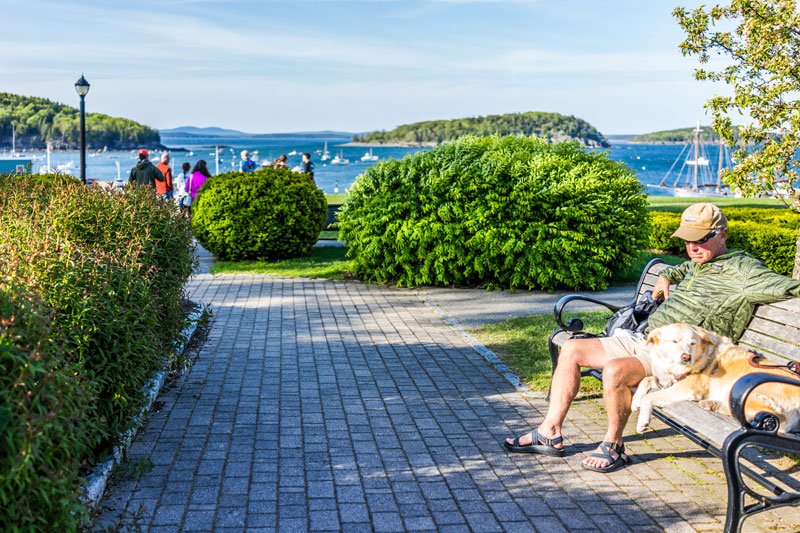 dog friendly vacations
