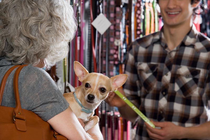 customer-loyalty