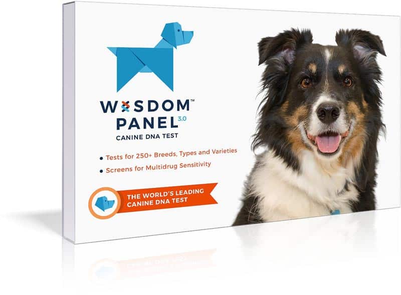 dog dad gifts
