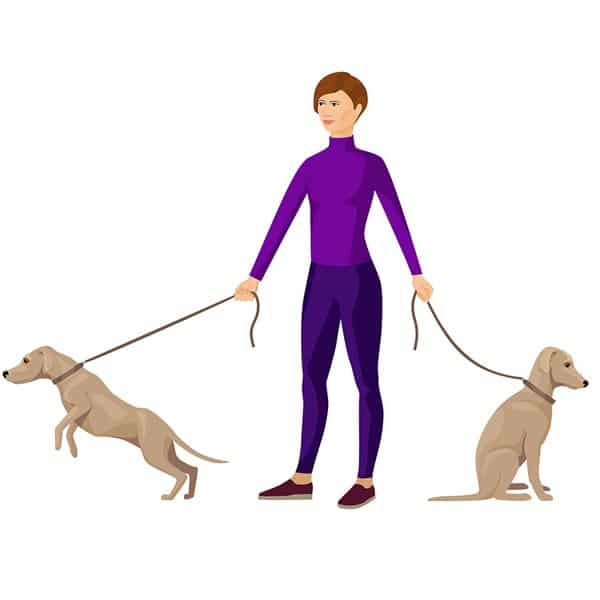 dog temperment test
