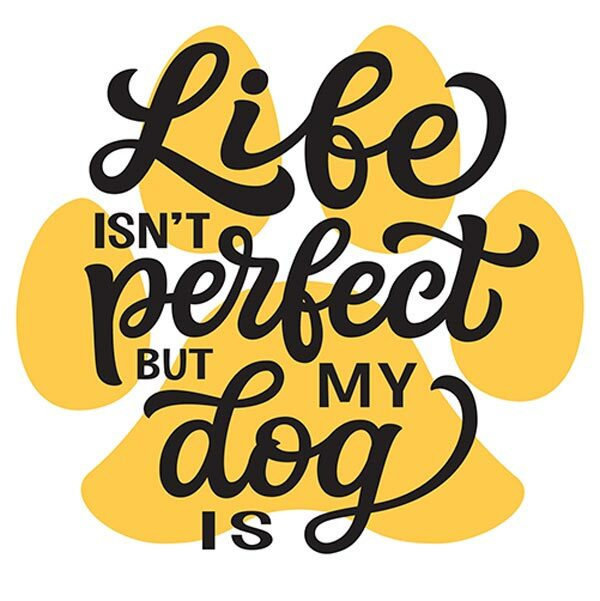 Dog mom stuff online