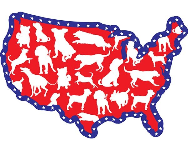 dog dryer regulations