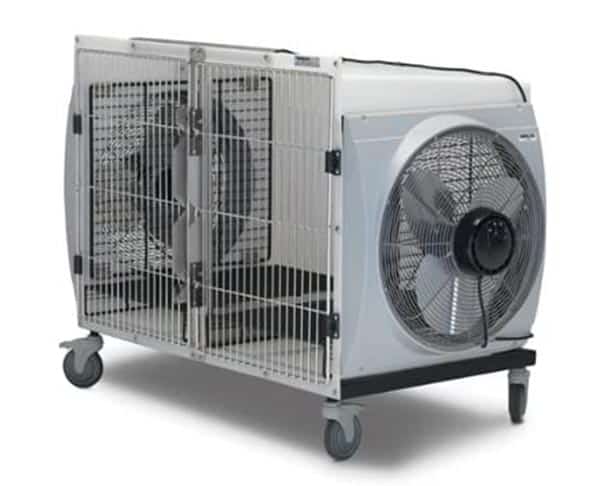 Forced air dryers for grooming online
