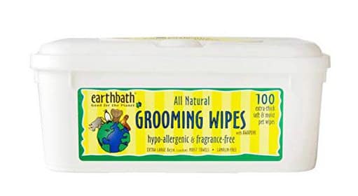 eco-friendly dog products