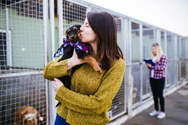 Featured image for Daysmart Pet Teams up with Groomers to Clear Shelters post