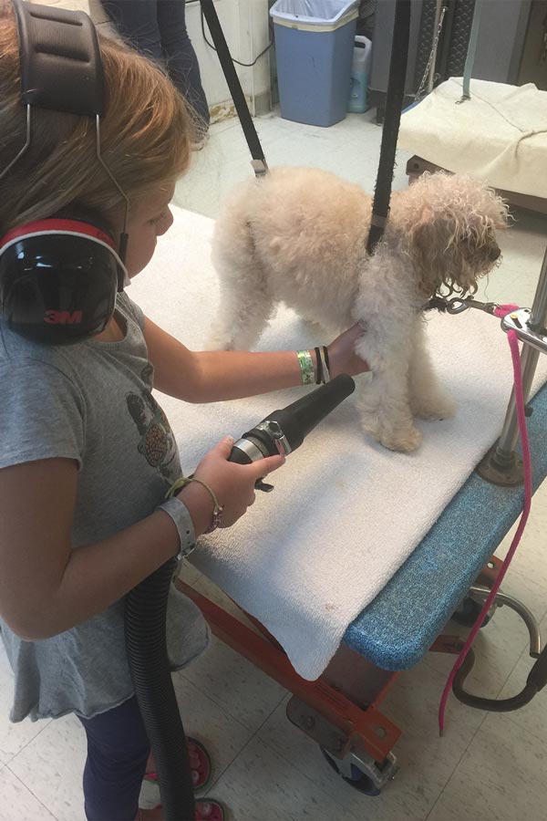 gwendolyn grooming