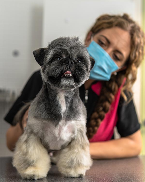 groomers lung