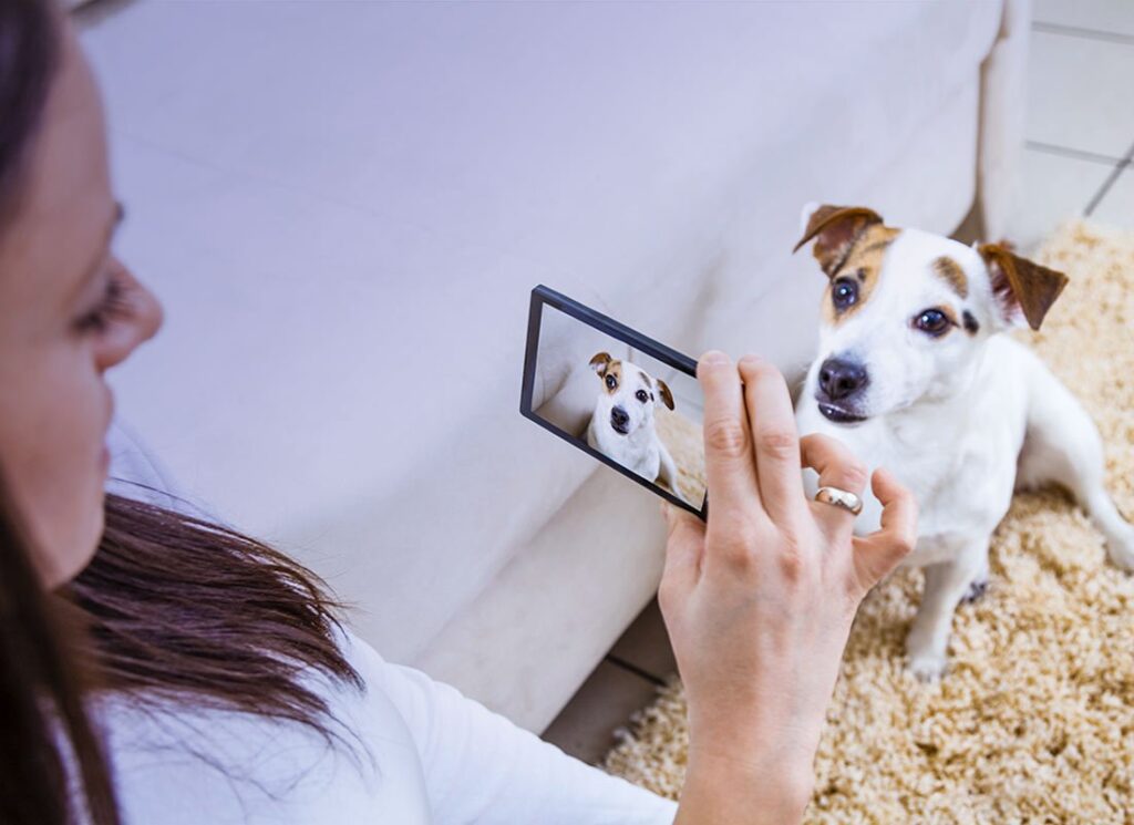 grooming app