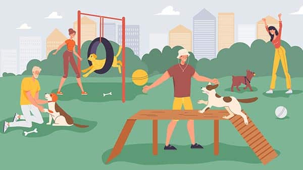 dog run ideas