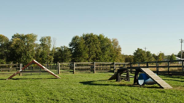 dog run ideas