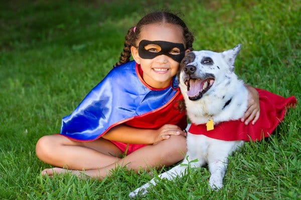 dog in costume, dog activities