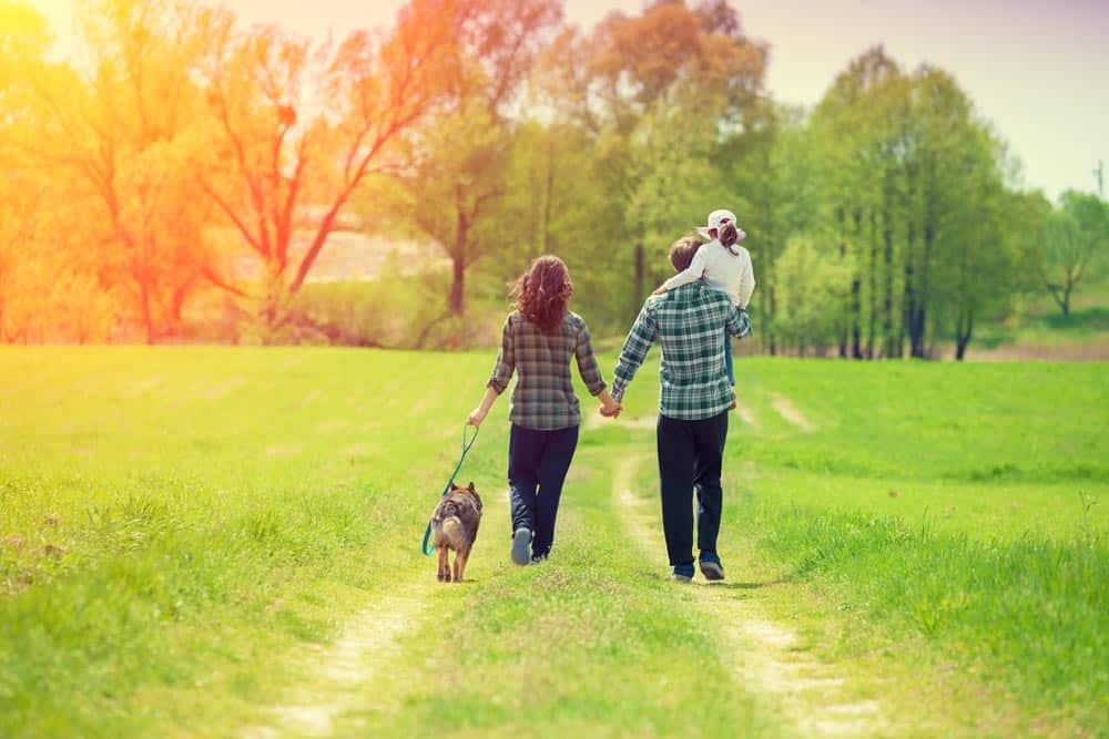 owning a dog