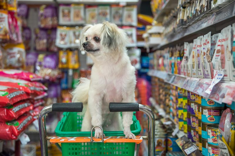Pet Product Marketing, dog grooming products