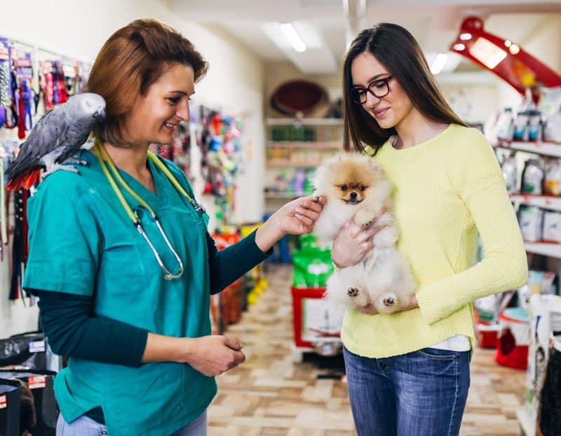 small business Saturday, dog grooming