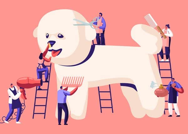 cost of dog grooming