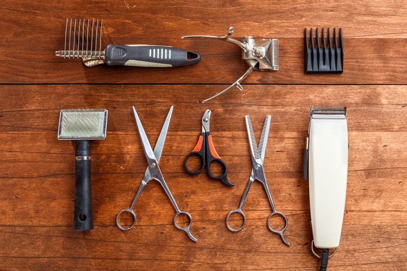 dog grooming shears, dog grooming guide