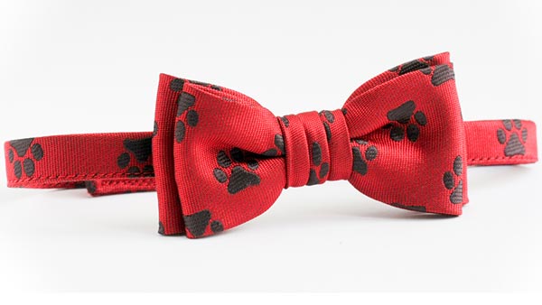 dog mom gifts
