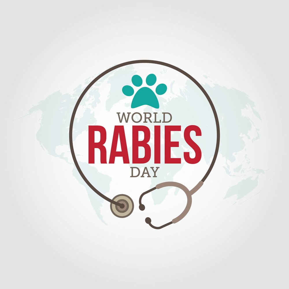 rabies shot