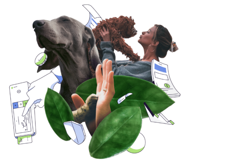 Dog Grooming Software | DaySmart Pet