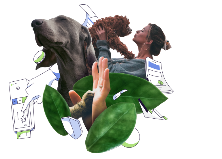 dog grooming appointment software