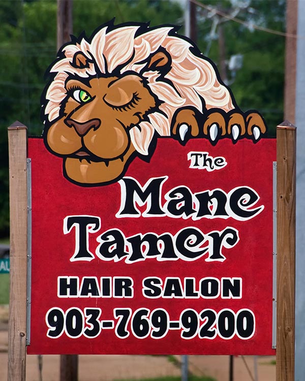 the mane tamer