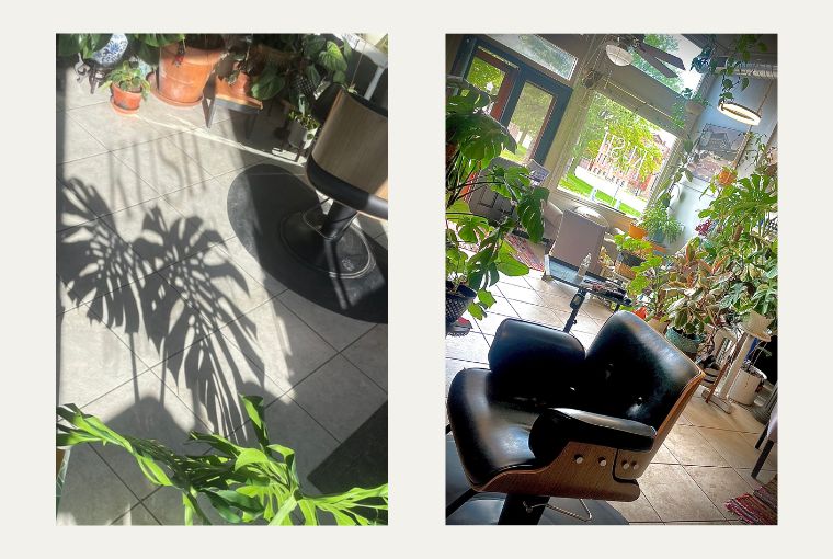 KUSH Hair Salon in Davenport Iowa is a leafy, fresh, bright and authentic haven