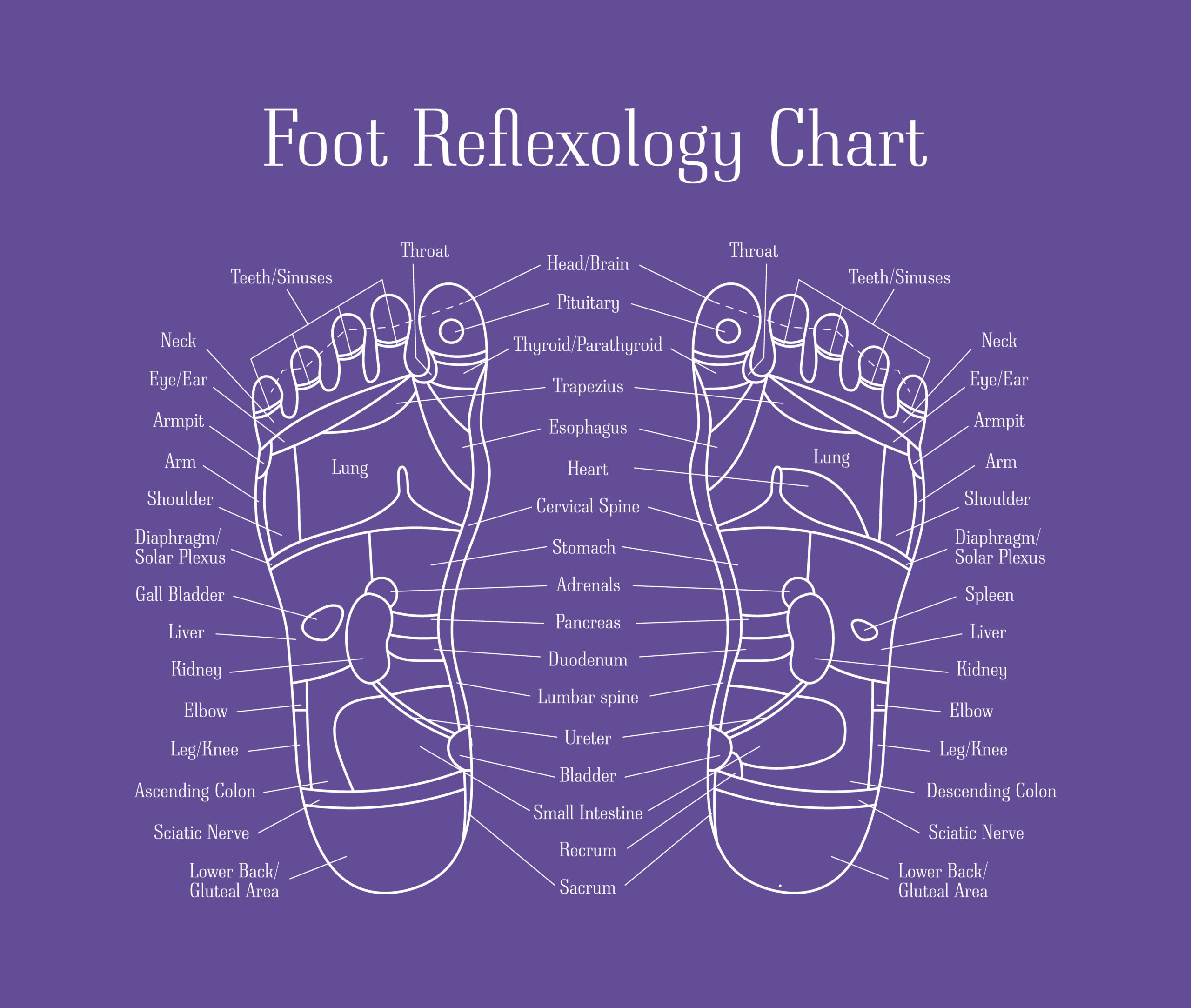 Featured image for How to Make Your Reflexology Therapy Clinic More Efficient post