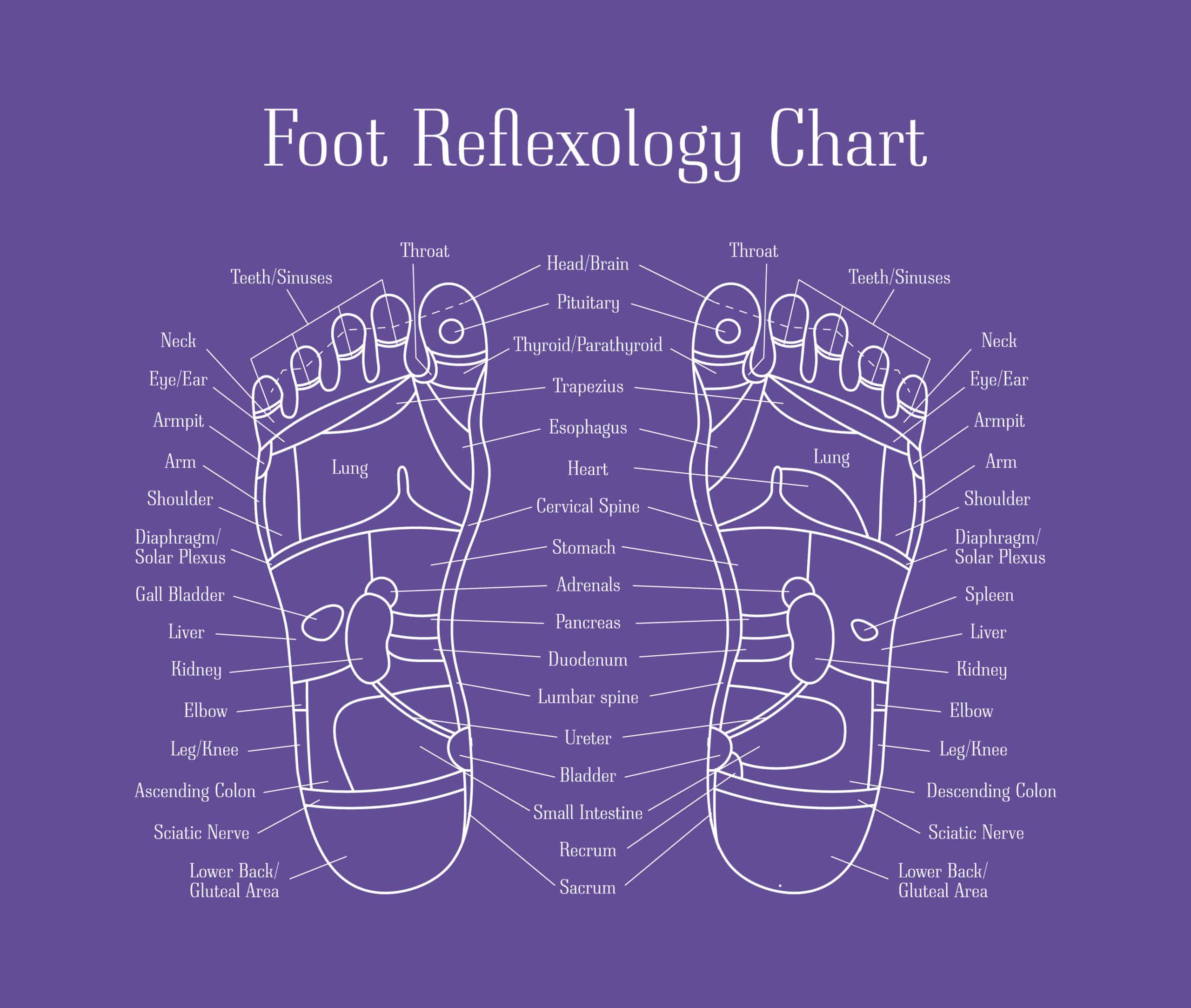 Featured image for How to Make Your Reflexology Therapy Clinic More Efficient post