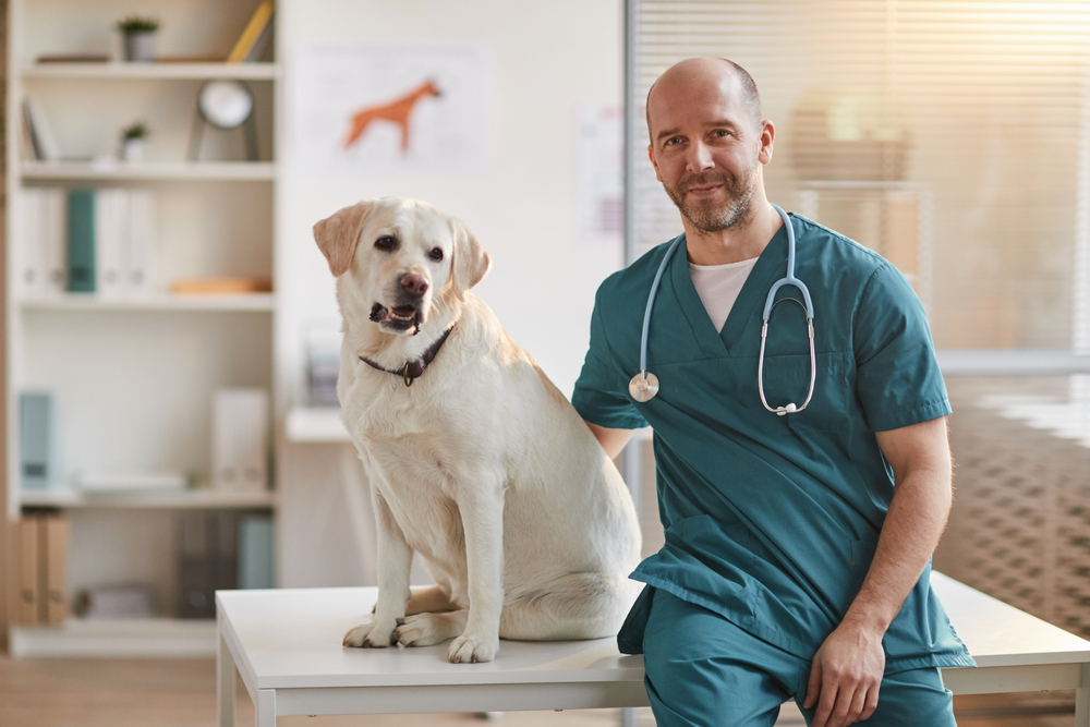 Featured image for A Guide to Managing Stress in Veterinary Medicine and How Your Vet Software Can Help post
