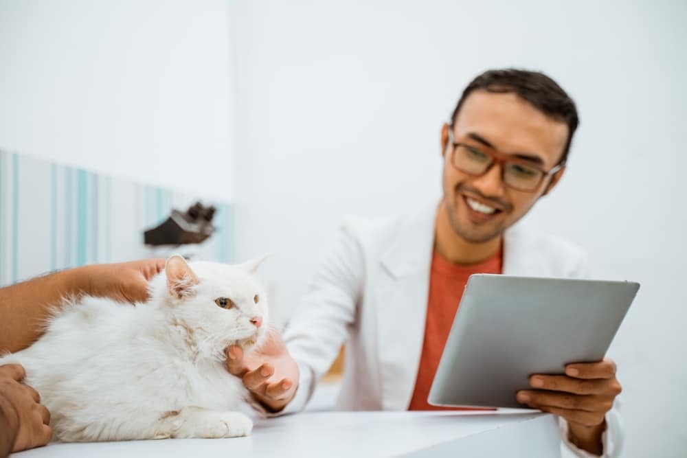 Featured image for A Complete Buyer’s Guide for Making the Switch to a Better Veterinary Software post