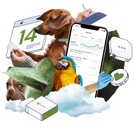 Cloud Based Veterinary Software Daysmart Vet