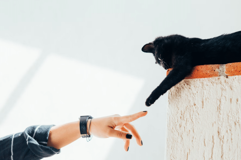 veterinary industry trends