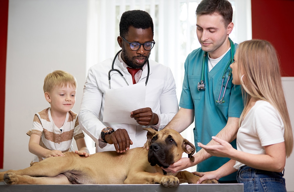 what do vet techs do