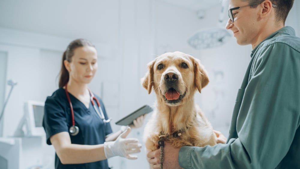 Positive appointment experience