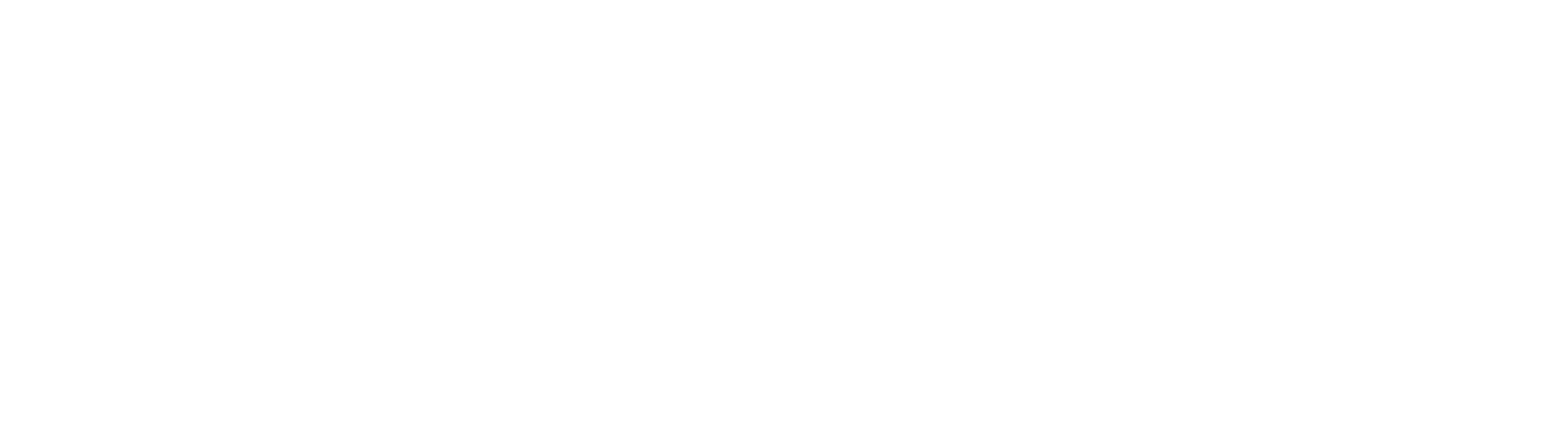 Peerlogic logo